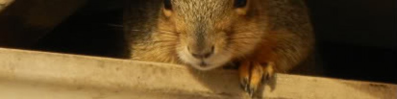 January 2012 Month in Review